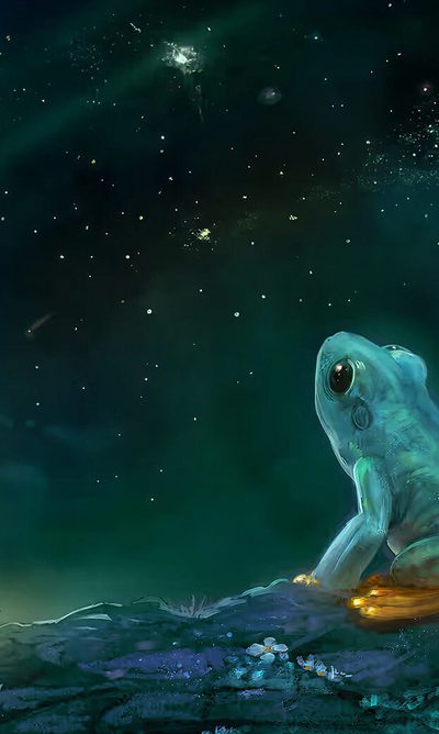 Illustrated artwork of a frog sitting on a grassy rock beneath a vast, star-filled night sky, created to represent Optilogic’s Cosmic Frog brand.
